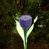 Solar Tulip Garden Lamp - Elegant Outdoor Lighting for Home and Patio